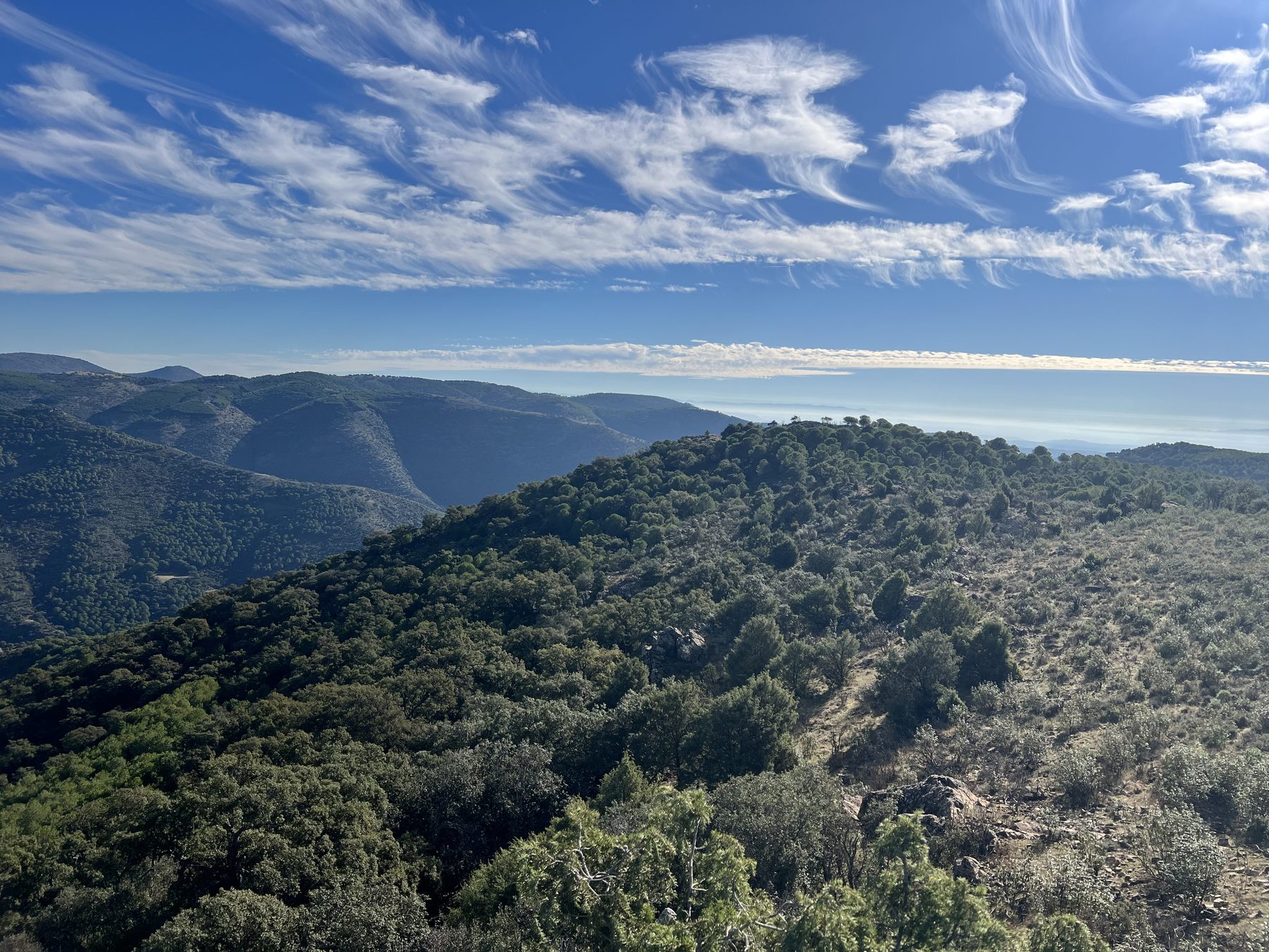 Mediterranean scrub running up towards a rocky ridge