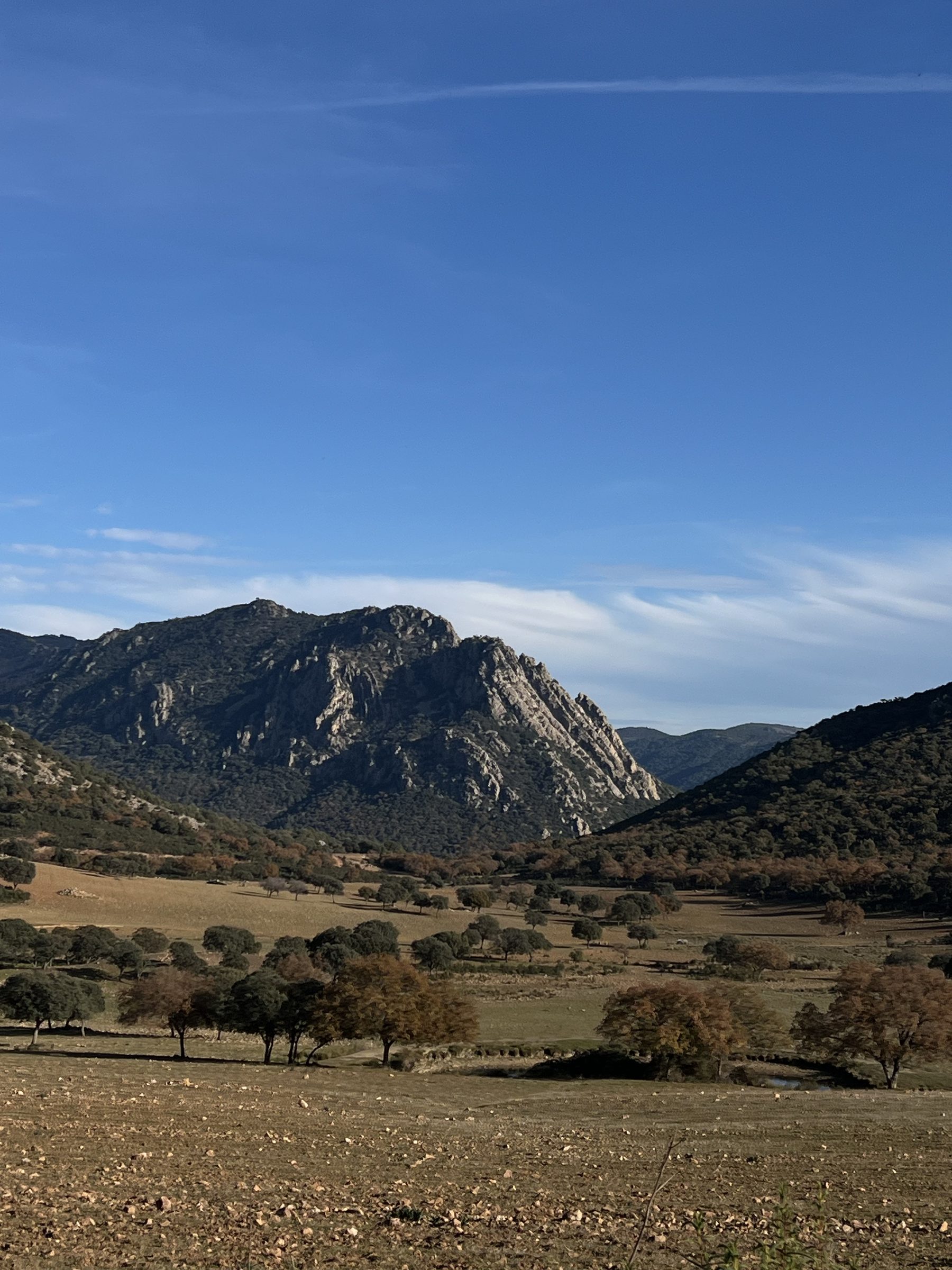 Rolling oak pasture below a distant ridge under a wide sky
