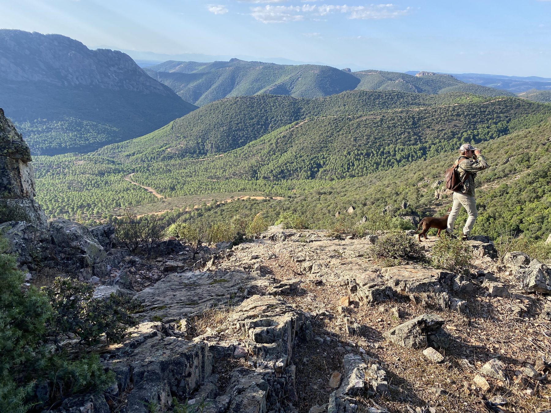 A person standing on a rocky outcrop above a wooded valley