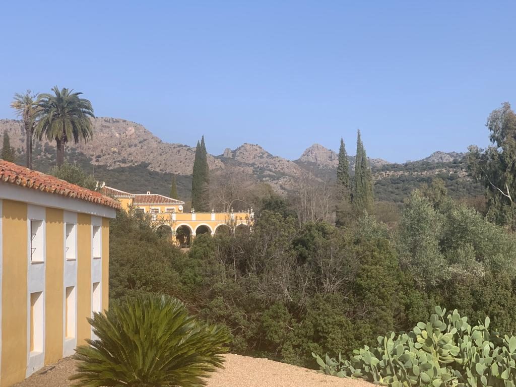 A country house terrace looking out over the land