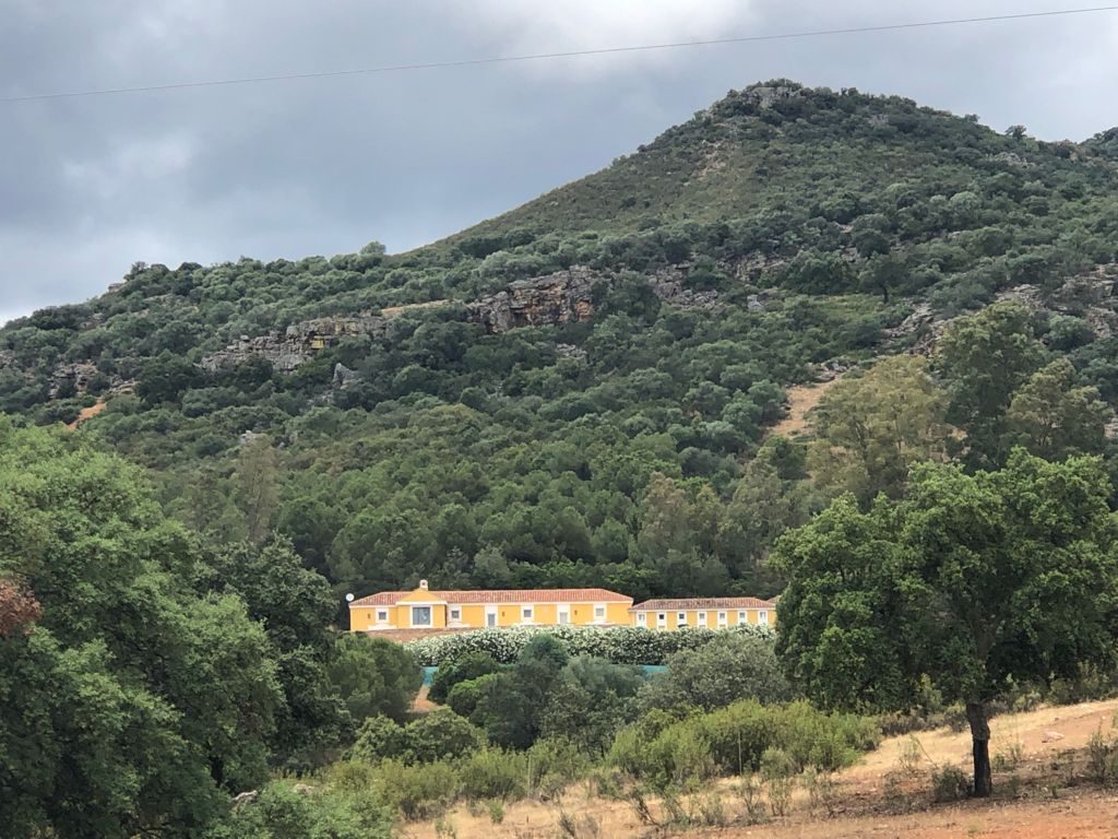 Hills and open ground seen from a rise